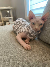 Charger l'image dans la galerie, Polar SANS MANCHE - Leopard gris