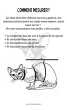 Charger l'image dans la galerie, Chandail  long à capuche - Calinou Toutaquin