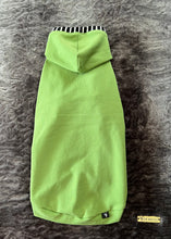Charger l'image dans la galerie, Chandail long à capuche Henley - Vert &amp; rayé