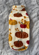 Charger l'image dans la galerie, Kiwi - Pumpkin