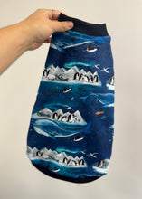 Charger l'image dans la galerie, Pyjama SQUISHY - Vie antarctique
