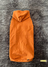 Charger l'image dans la galerie, Chandail long à capuche Henley - Érable &amp; rayé