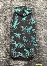 Charger l'image dans la galerie, Hoodie de coton (plus mince) - Dinosaures