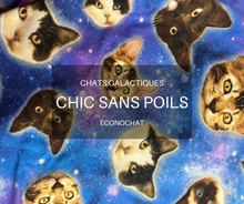 Charger l'image dans la galerie, ECONOCHAT - Chats galactiques