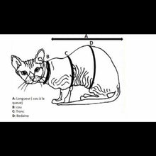 Charger l'image dans la galerie, Protection UV FPS 50+ - Noir Grumpasaur