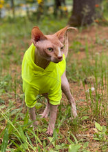 Charger l'image dans la galerie, Hoodie manches longues  - NÉON Jaune