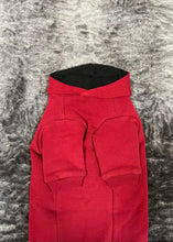 Charger l'image dans la galerie, Hoodie de coton biologique - Rouge chili