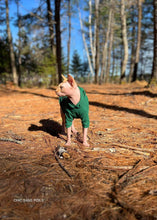 Charger l'image dans la galerie, Chandail  long à capuche - Vert foncé
