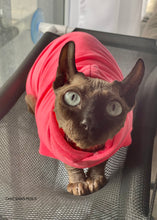 Charger l'image dans la galerie, Hoodie manches longues  - NÉON Rose