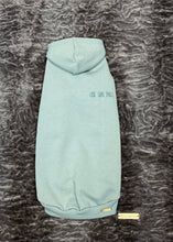 Charger l'image dans la galerie, Hoodie manches longues - ALPINE