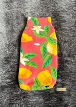 Charger l'image dans la galerie, Kiwi - Citrons